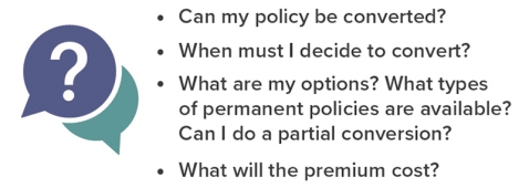 questions to ask your insurer