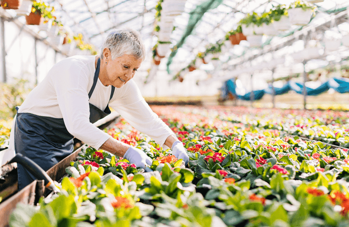 Woman gardening