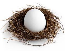 egg in a nest